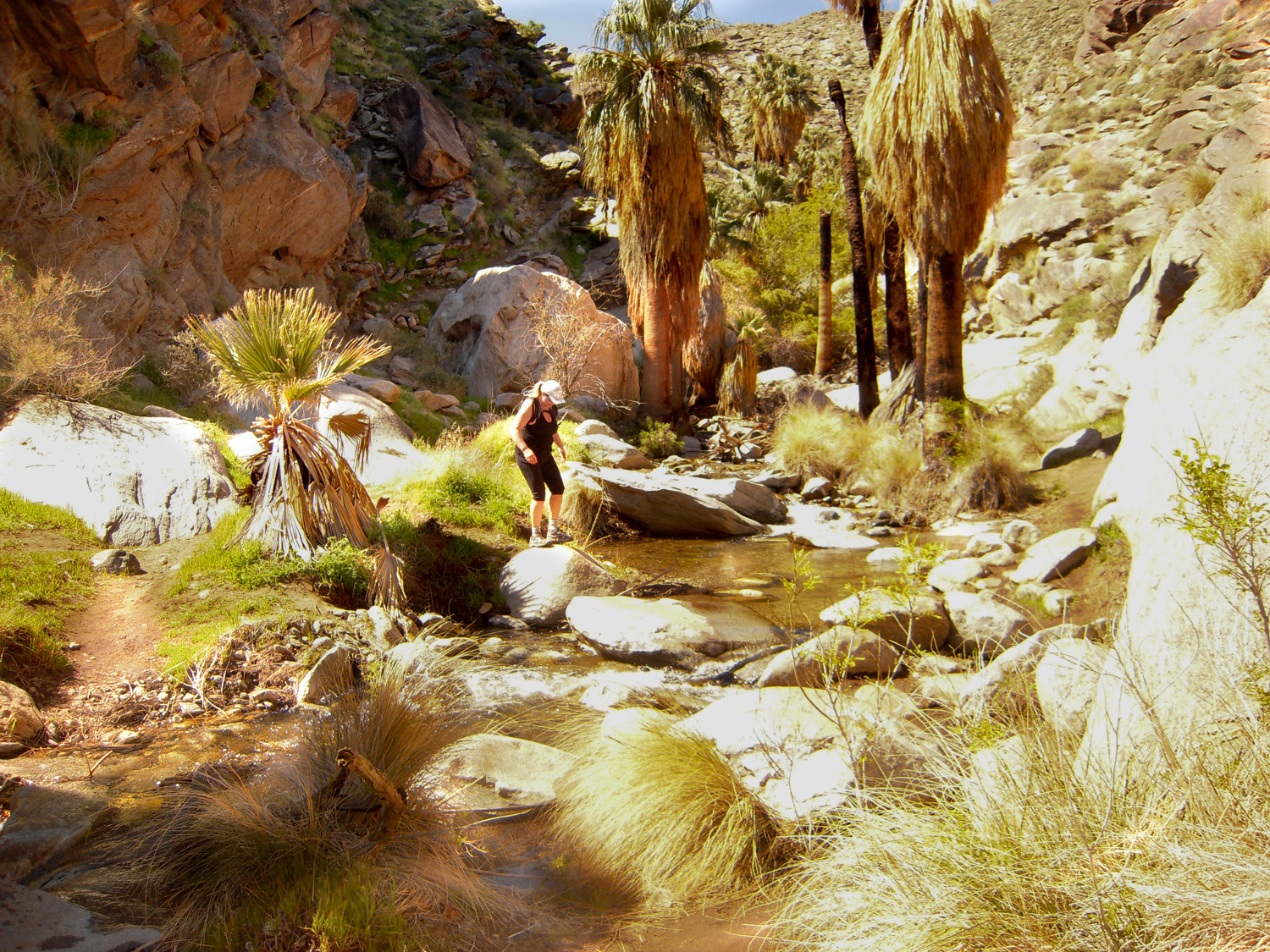 Murray Canyon03132010 (10)